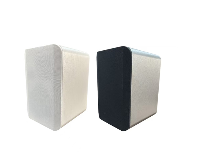 2.4G网络终端音箱（6.5''）带100V备份功能