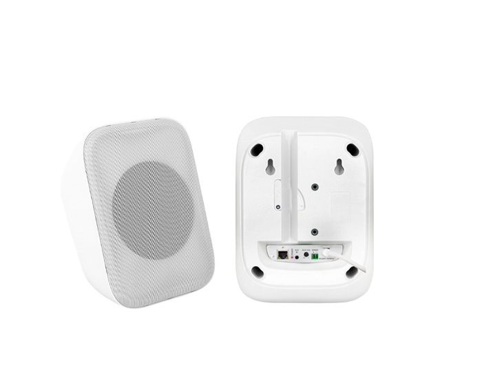 IP网络音箱